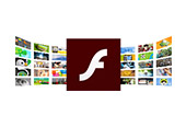 不同浏览器中不同版本Flash Player应用